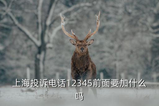 上海投訴電話12345前面要加什么嗎