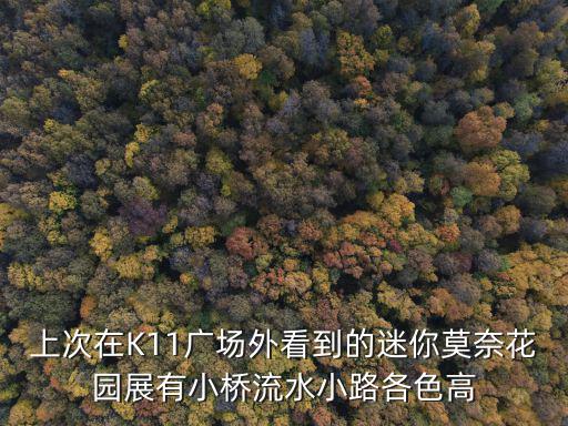 上次在K11廣場外看到的迷你莫奈花園展有小橋流水小路各色高