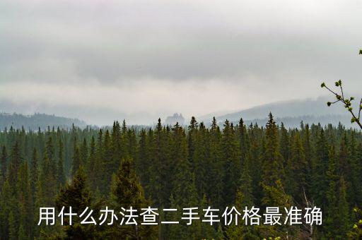 用什么辦法查二手車價格最準確