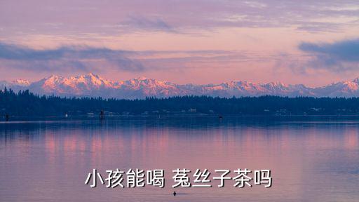 菟絲子茶,菟絲子茶適合喝什么?