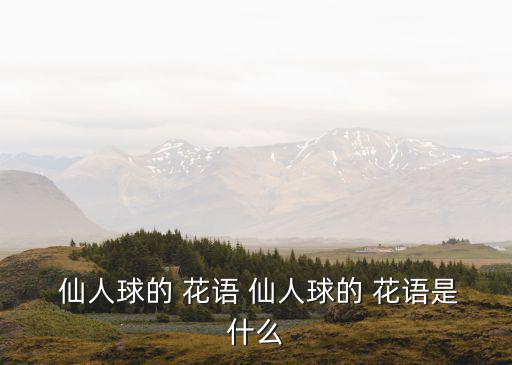 仙人球的花語(yǔ),第二集:得不到的愛