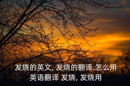  發燒的英文, 發燒的翻譯,怎么用 英語翻譯 發燒, 發燒用