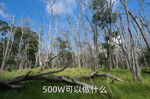500W可以做什么