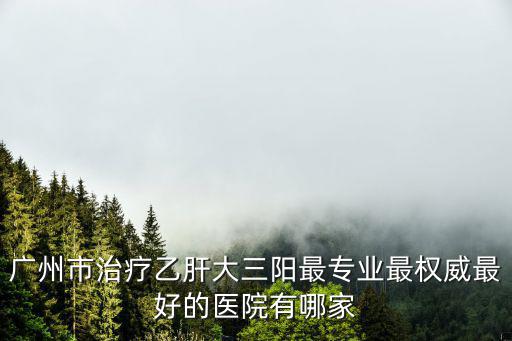 廣州市治療乙肝大三陽最專業最權威最好的醫院有哪家
