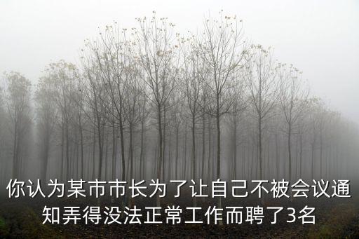 你認為某市市長為了讓自己不被會議通知弄得沒法正常工作而聘了3名