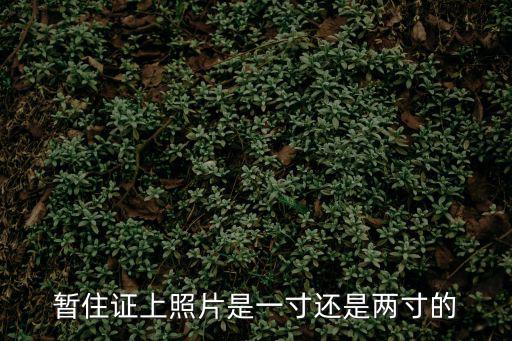 暫住證上照片是一寸還是兩寸的