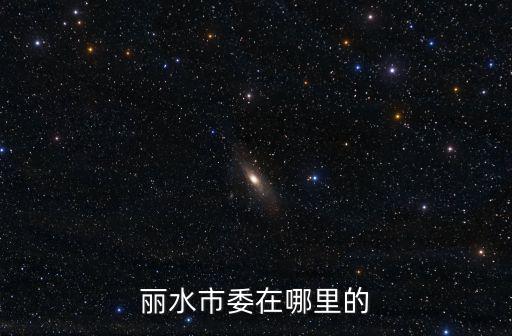 麗水市委在哪里的