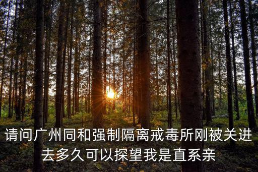 請問廣州同和強制隔離戒毒所剛被關進去多久可以探望我是直系親