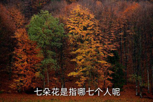  七朵花是指哪七個人呢