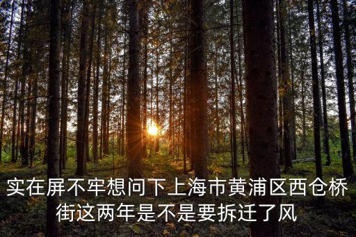 實在屏不牢想問下上海市黃浦區(qū)西倉橋街這兩年是不是要拆遷了風
