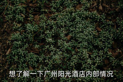 想了解一下廣州陽(yáng)光酒店內(nèi)部情況