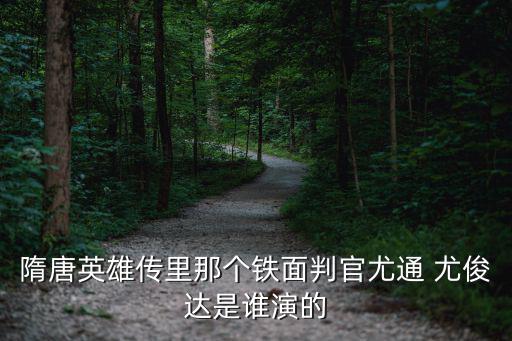 隋唐英雄傳里那個(gè)鐵面判官尤通 尤俊達(dá)是誰演的