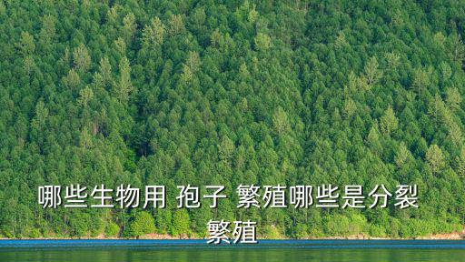 哪些生物用 孢子 繁殖哪些是分裂 繁殖