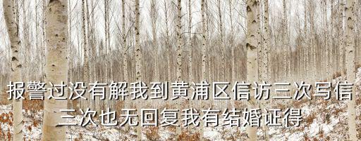 報(bào)警過(guò)沒(méi)有解我到黃浦區(qū)信訪三次寫信三次也無(wú)回復(fù)我有結(jié)婚證得