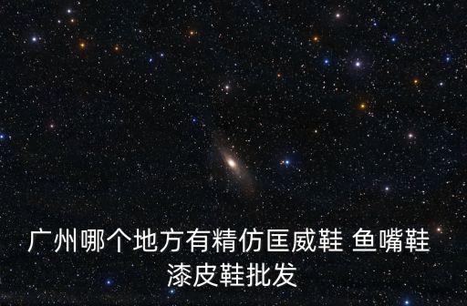 廣州哪個(gè)地方有精仿匡威鞋 魚嘴鞋 漆皮鞋批發(fā)