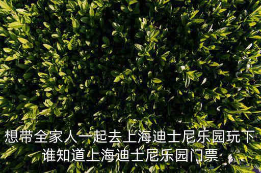 想帶全家人一起去上海迪士尼樂園玩下誰知道上海迪士尼樂園門票