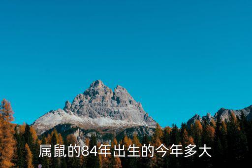 屬鼠的84年出生的今年多大