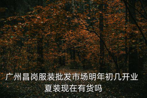 廣州昌崗服裝批發市場明年初幾開業 夏裝現在有貨嗎