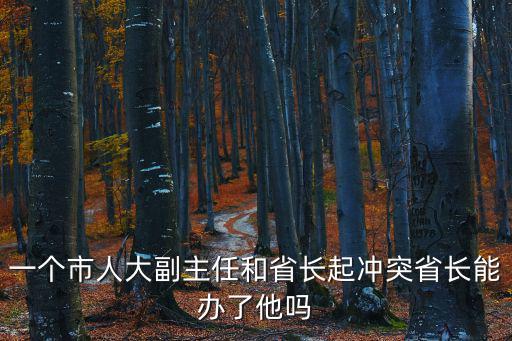 一個市人大副主任和省長起沖突省長能辦了他嗎