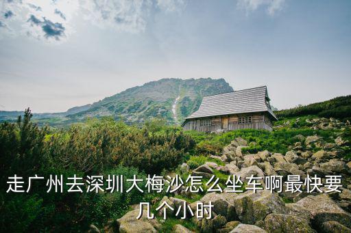 走廣州去深圳大梅沙怎么坐車啊最快要幾個(gè)小時(shí)