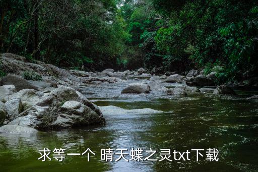 求等一個 晴天蝶之靈txt下載
