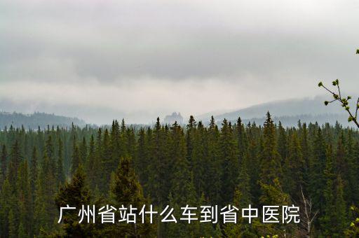 去廣州省中醫院的汽車站，在廣園客運站去廣東省中醫院怎樣走
