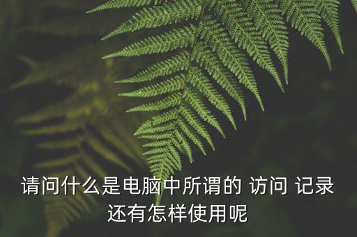 請問什么是電腦中所謂的 訪問 記錄還有怎樣使用呢
