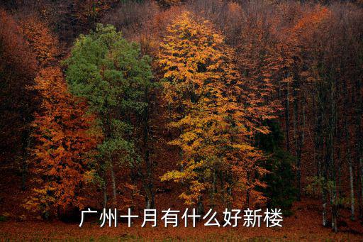 廣州十月有什么好新樓