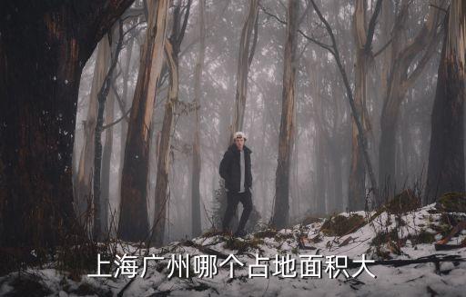 上海廣州哪個占地面積大