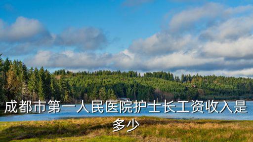 成都市第一人民醫院護士長工資收入是多少