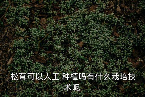 松茸種植,松茸人工培育需要注意什么?
