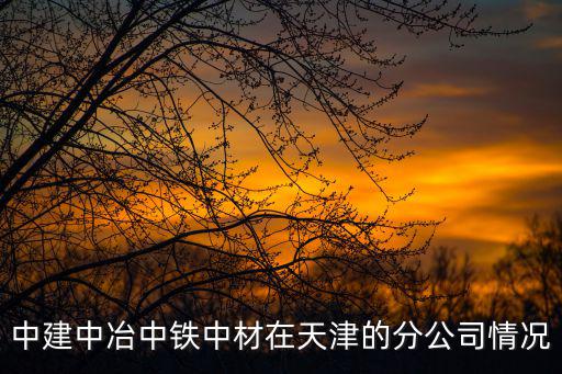 天津市筑土建筑齊家林，天津市建設工程竣工備案機關負責人是誰呀拜托了各位 謝謝  問