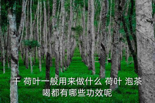荷葉泡茶,荷葉泡水喝!正確做法是這樣的