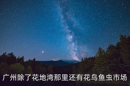 廣州除了花地灣那里還有花鳥魚蟲市場