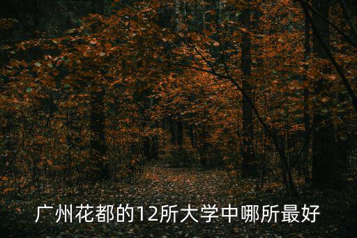 廣州花都的12所大學中哪所最好
