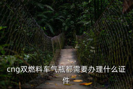 cng雙燃料車氣瓶都需要辦理什么證件