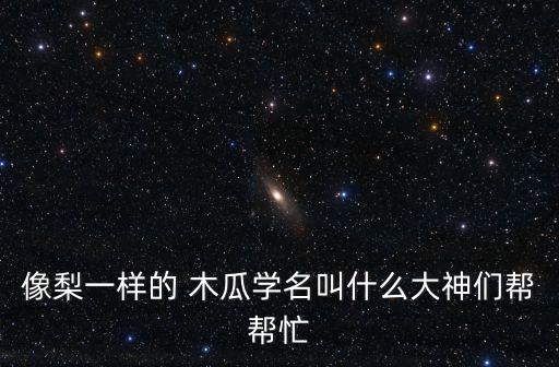像梨一樣的 木瓜學名叫什么大神們幫幫忙
