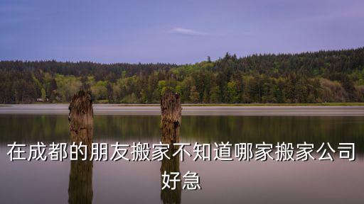 在成都的朋友搬家不知道哪家搬家公司好急