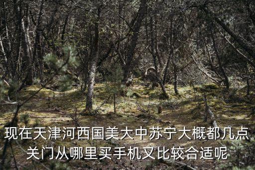 現在天津河西國美大中蘇寧大概都幾點關門從哪里買手機又比較合適呢