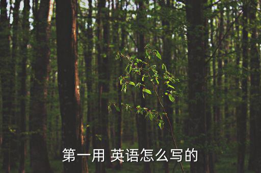第一用 英語怎么寫的