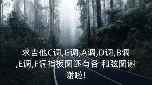 求吉他C調(diào),G調(diào),A調(diào),D調(diào),B調(diào),E調(diào),F調(diào)指板圖還有各 和弦圖謝謝啦!