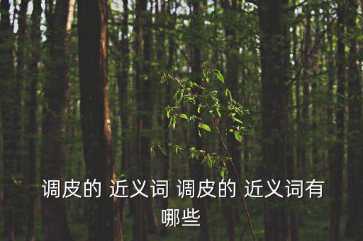  調皮的 近義詞 調皮的 近義詞有哪些
