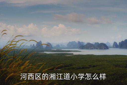 河西區的湘江道小學怎么樣