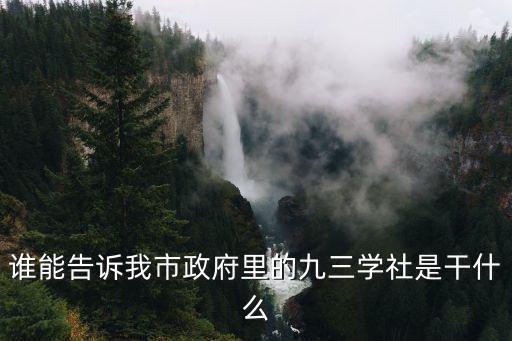 誰能告訴我市政府里的九三學社是干什么