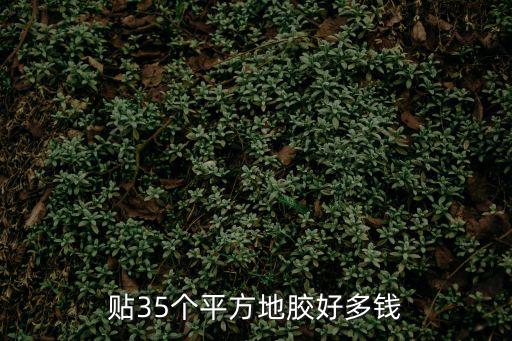 貼35個平方地膠好多錢