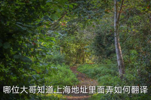 哪位大哥知道上海地址里面弄如何翻譯