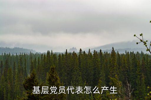 基層黨員代表怎么產生
