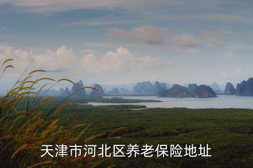天津市河北區養老保險地址