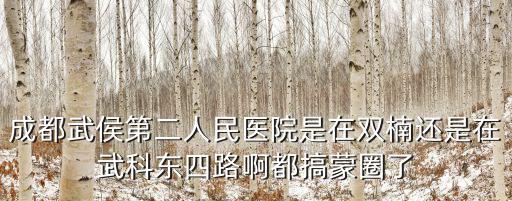 成都武侯第二人民醫院是在雙楠還是在武科東四路啊都搞蒙圈了