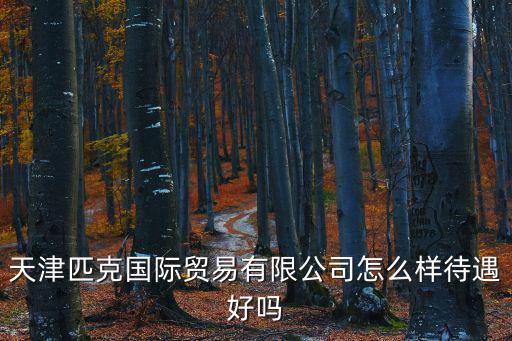 天津匹克國際貿易有限公司怎么樣待遇好嗎